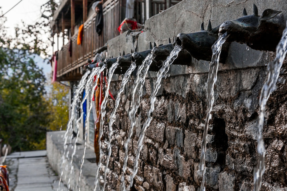 The Sacred Waters of Muktinath