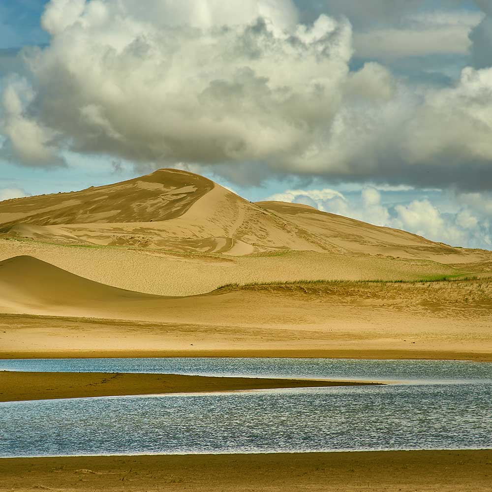 WILD STEPPES - FDR EDITION - MONGOLIA