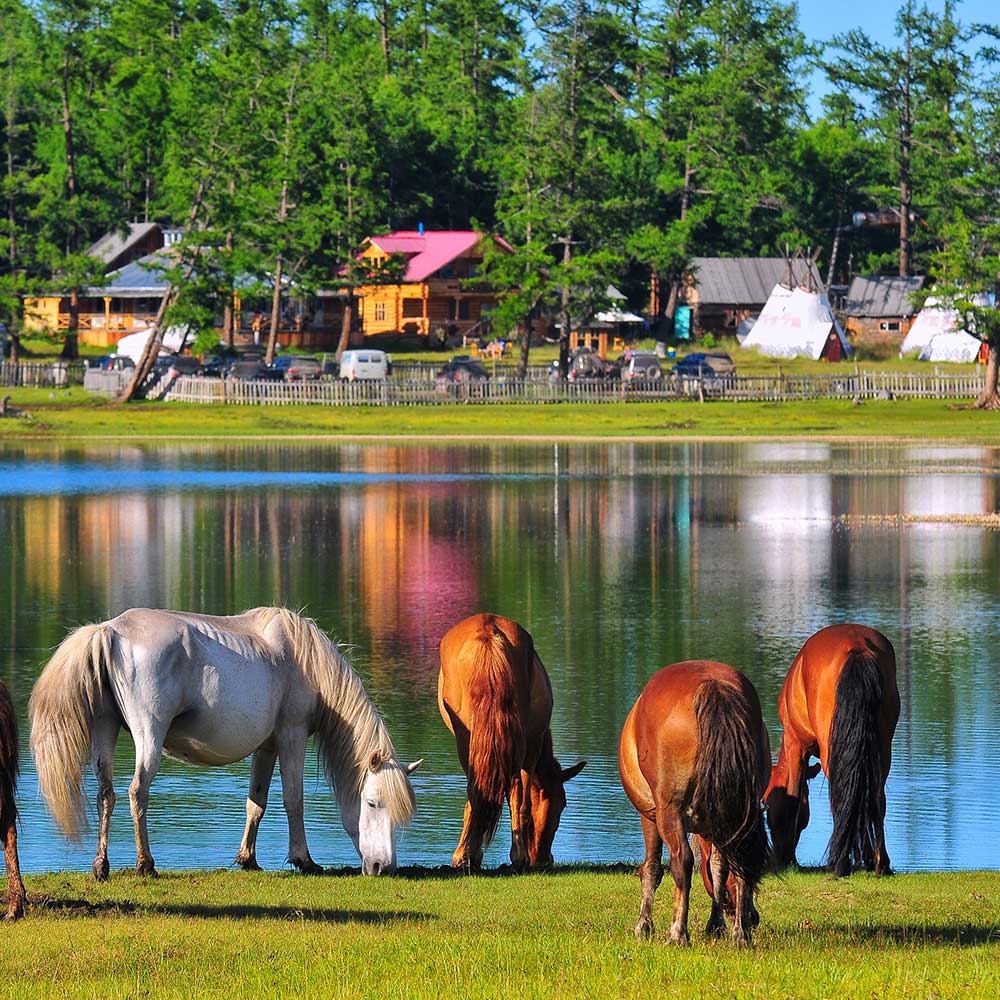 WILD STEPPES - FDR EDITION - MONGOLIA