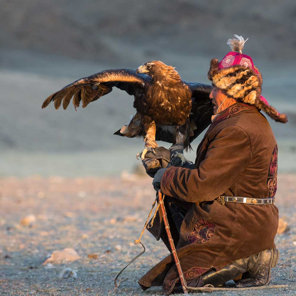 WILD STEPPES - FDR EDITION - MONGOLIA