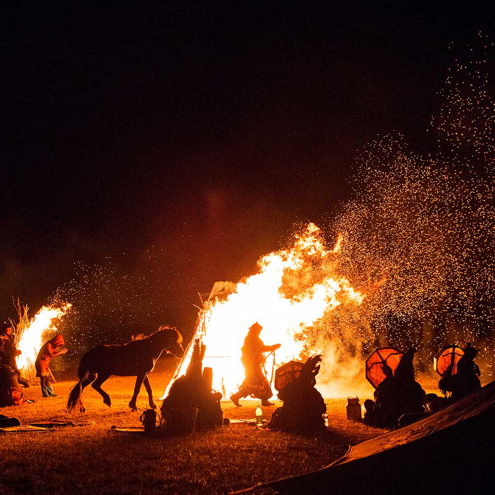WILD STEPPES - FDR EDITION - MONGOLIA
